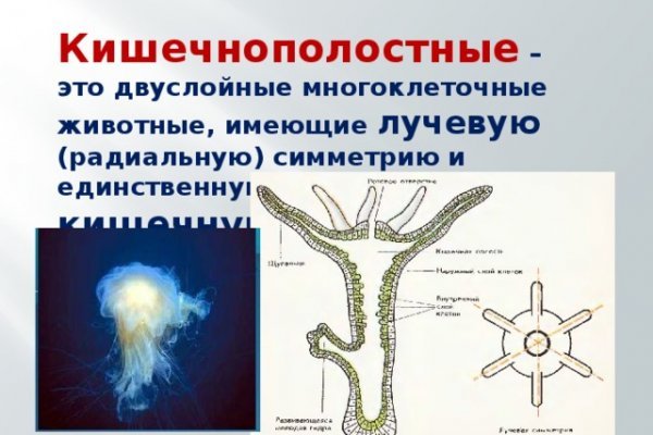 Как зайти на кракен через браузер